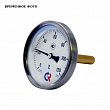 Термометр биметаллический радиальный Дк63 L64мм G1/2" 160С БТ-32.211